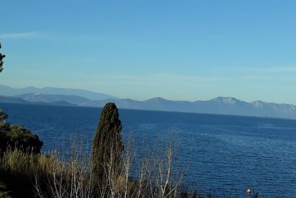 Amazing Sea View-Neos Pyrgos Beach -Evoia Greece Néos Pírgos Kültér fotó